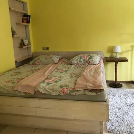 біля ріки 아파트 Mizhhirya (Transcarpathia)