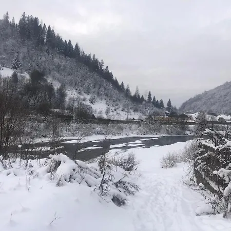 біля ріки Apartment Mizhhirya (Transcarpathia)