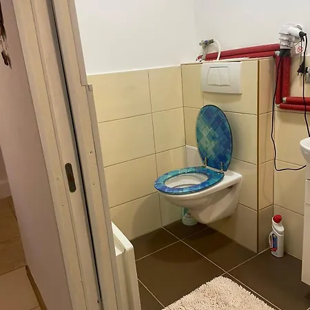 біля ріки * Mizhhirya (Transcarpathia)