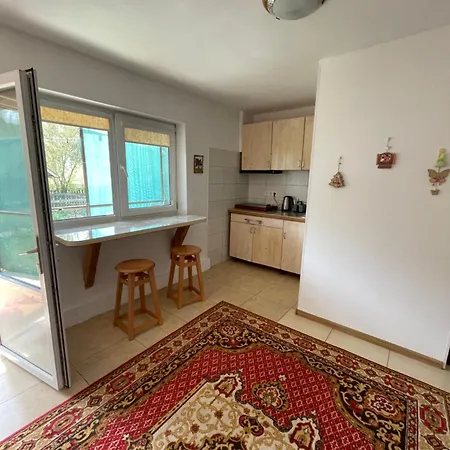 Apartmán біля ріки Mizhhirya (Transcarpathia)