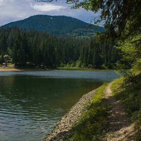 біля ріки شقة *